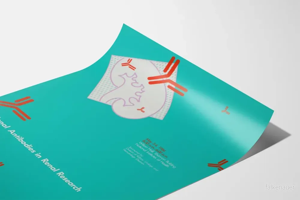 Designvetenskaplig poster om monoklonala antikroppar och njurar - Bild 3