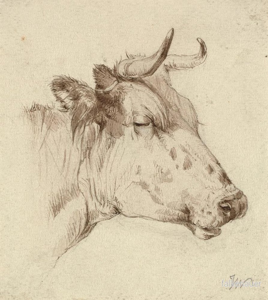Målning Tête de vache - Anonyme - Bild 2