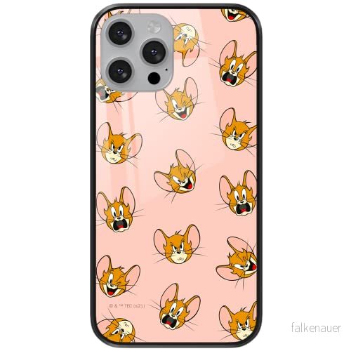 ERT GROUP mobiltelefonfodral för Apple Iphone XR originalt och officiellt licensierat Tom and Jerry mönster 008 tillverkad av härdat glas, optimalt anpassat till mobilens form, skyddsfodral 5904805261510