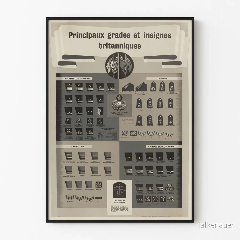 Vintageposter av de viktigaste brittiska graderna och insignierna