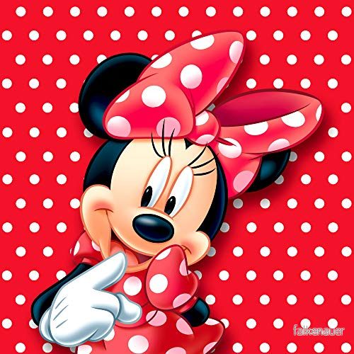 AG Design Mimmi Mouse Disney, dekorativ kudde, 40 x cm, flerfärgad 8595577931267