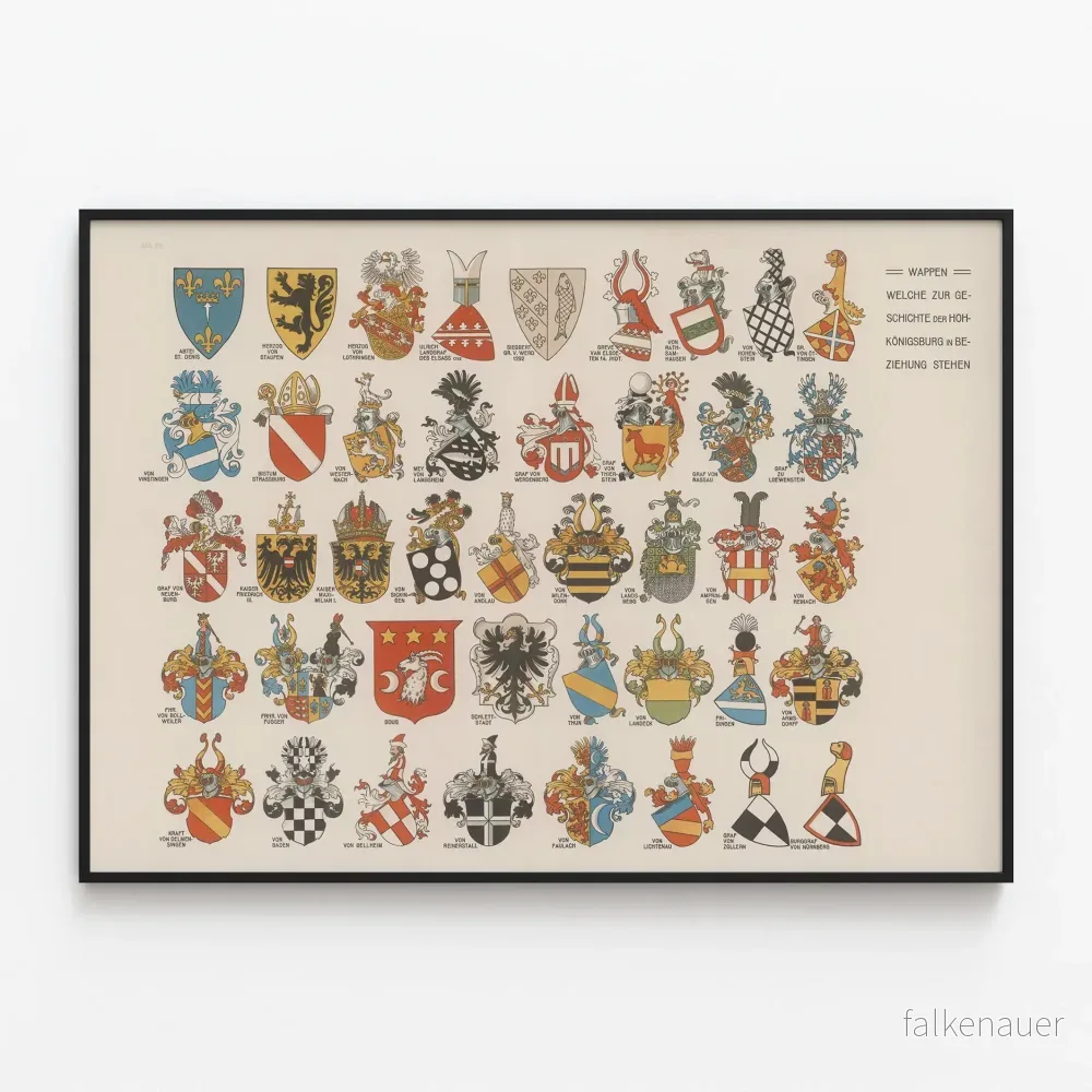 Heraldisk affisch av de historiska vapnen från Hohkönigsburg i Alsace Heraldisk affisch av de historiska vapnen från Hohkönigsburg i Alsace