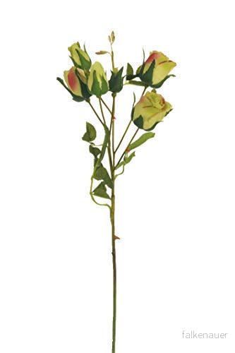 Express Flor 3 Grenar av konstgjorda silke rosor, 6 Rosor per gren 46cm Grön 8435011795119