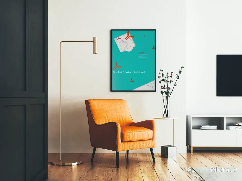 Designvetenskaplig poster om monoklonala antikroppar och njurar - Bild 2