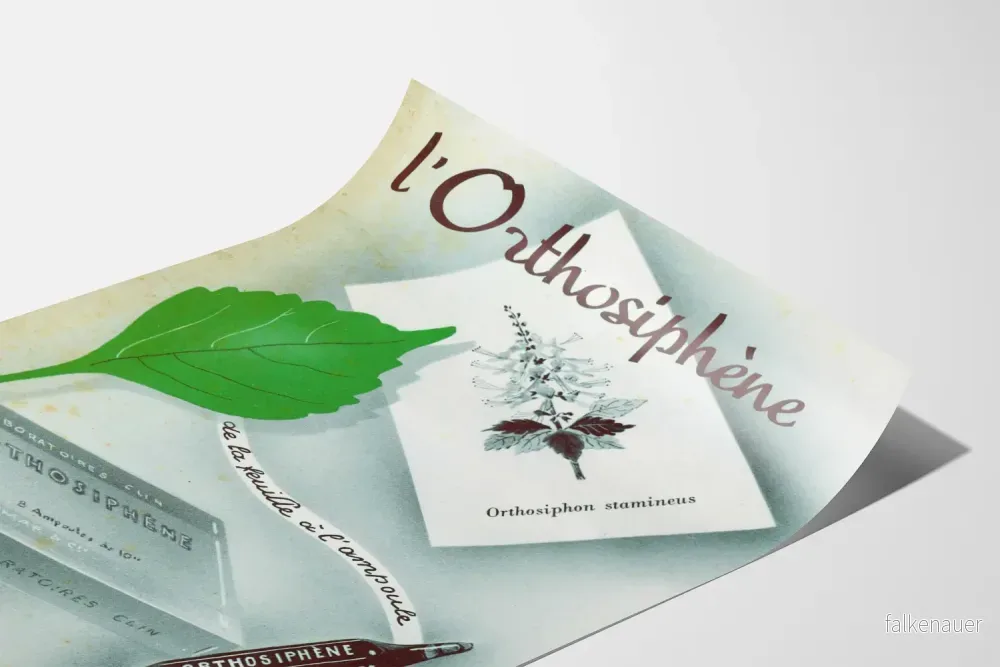 Vintageposter av Orthosiphène - väggdekoration för apotek i retrostil - Bild 3