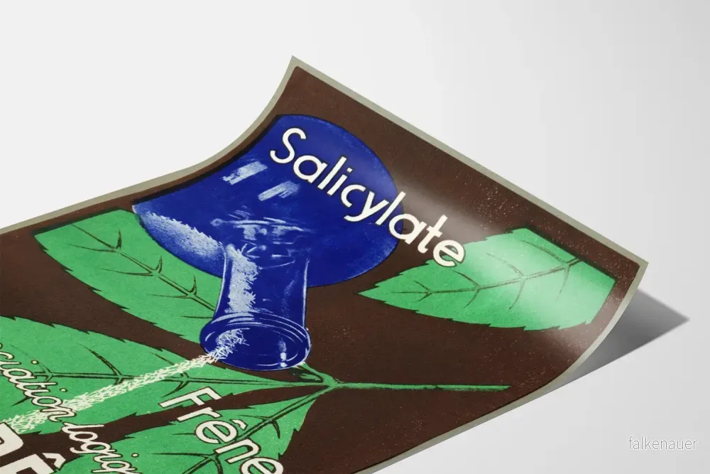 Vintage reklamposter för salicylat askträde väggdekoration - Bild 3