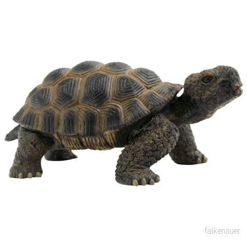 Bullyland 63553 Spelfigur landsköldpadda, ca 13,6 cm stor djurfigur, detaljerad, PVC fri, perfekt som en liten gåva för barn från 3 år 4007176635537