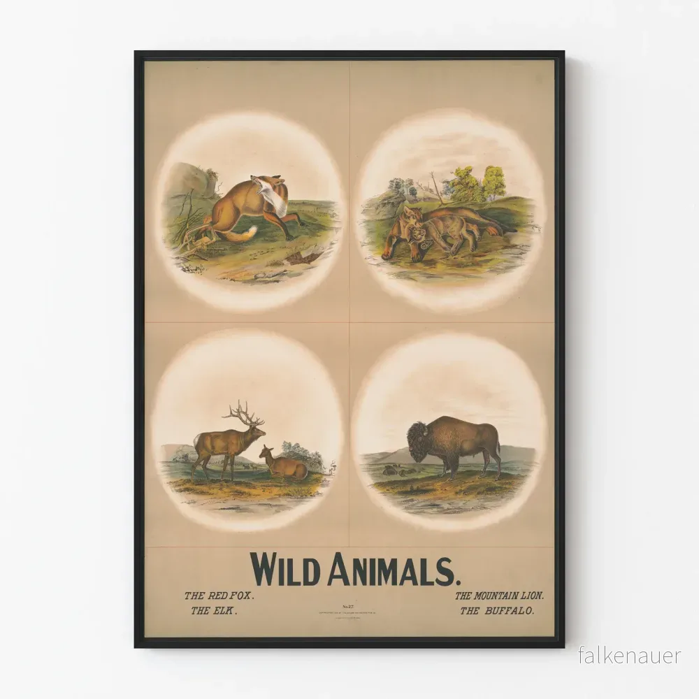 Vintageposter med vilda djur – räv, bergslöwe, älg och bison