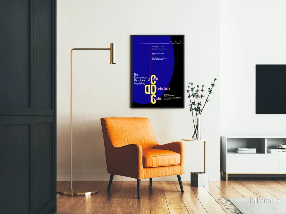 Dekorativ poster om celldelningscykeln - Bild 2