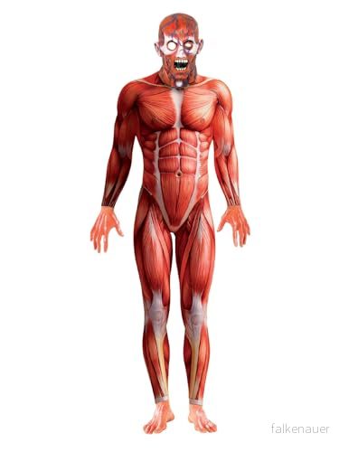 Anatomy Man Costume (M) 9842226003837