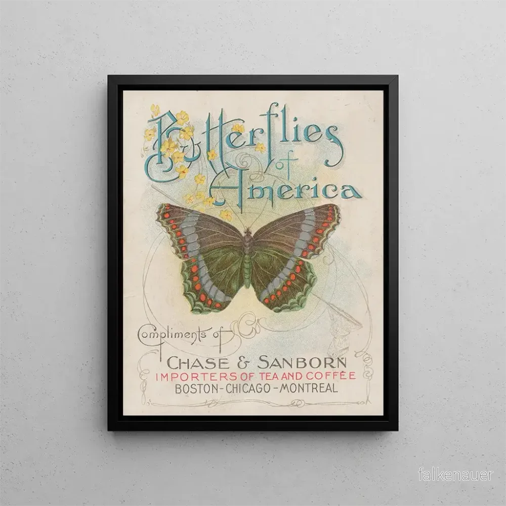 Målning Papillons d'Amérique Pl1 - Chase Sanborn | Konsttryck