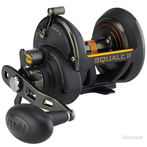 Penn Squall II Star Drag multirulle 30 31324174825