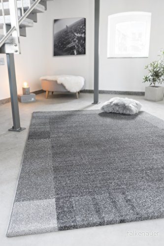 andiamo matta Le Havre, webmatta, toalettmatta, mjuk, vardagsrum, sovrum, korridor, matsal, 100% polypropylen, föroreningsfri 160x230 cm Bordüre Grau 4002398206794