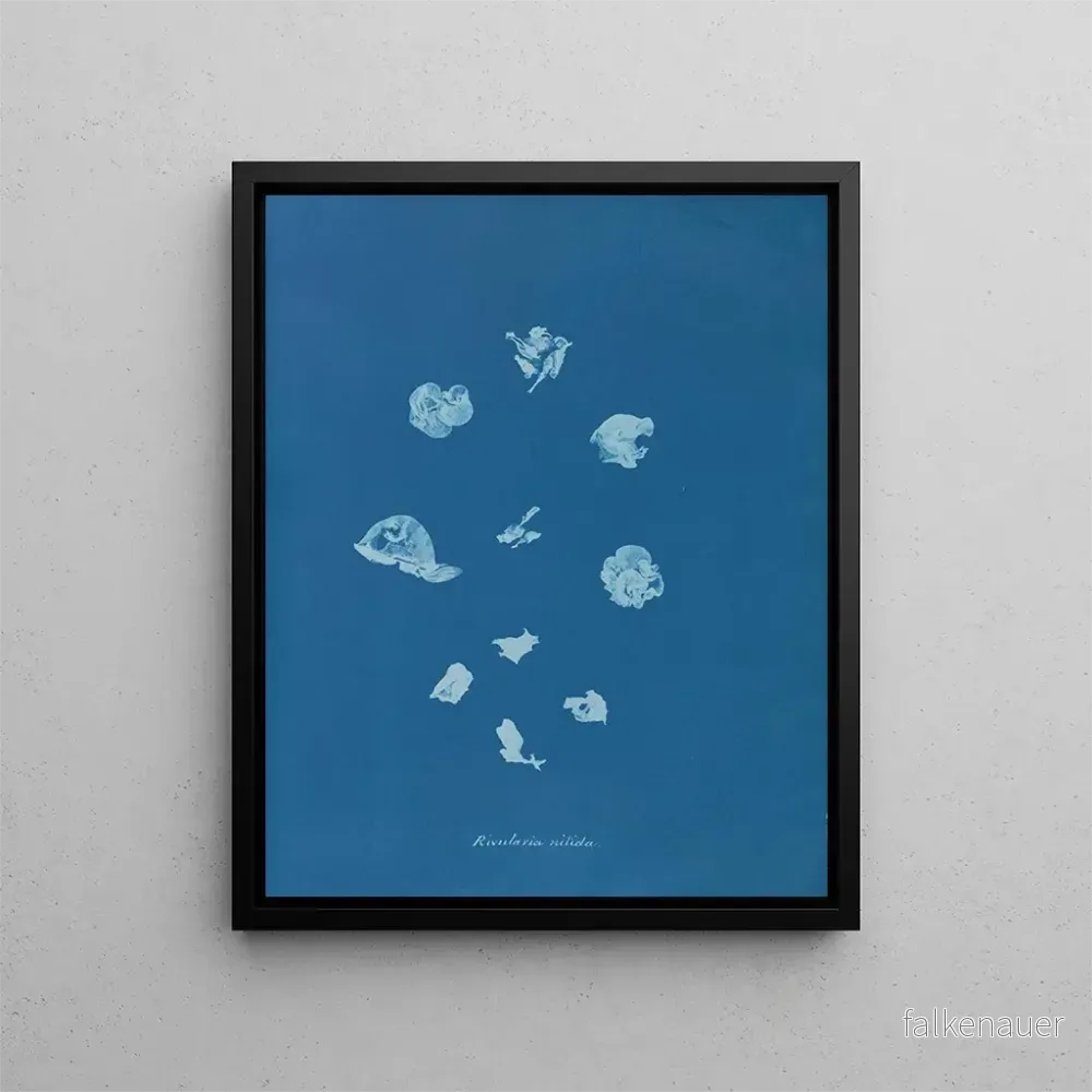 Målning Ruisseaux brillants – Anna Atkins | Konsttryck Målning Ruisseaux brillants – Anna Atkins | Konsttryck