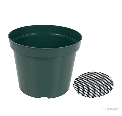 DAPERCI 40 pack grön färg 10 cm barnkammare krukor tjocka plastblomkrukor bra dränering i bulk inomhus/utomhus planteringskrukor (40 st grytnät ingår) 760329069095