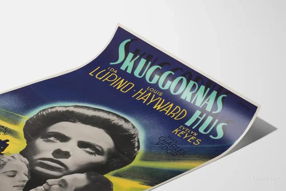 Vintage filmposter Skuggornas hus - Retro väggdekoration - Bild 3